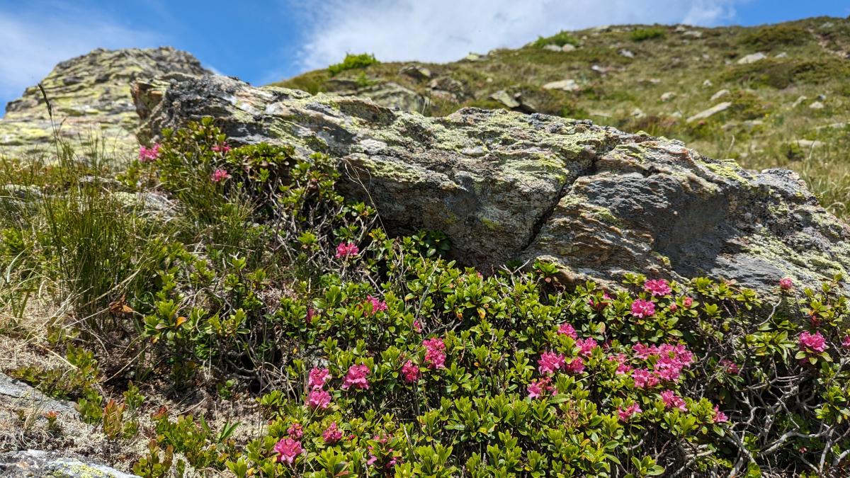 Osttirol Bergmesse am Kegelstein 2023